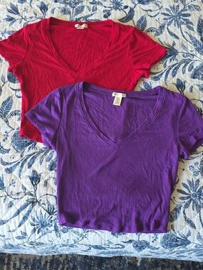 Bozzolo Red & Purple Ribbed V-Neck Crop Tops